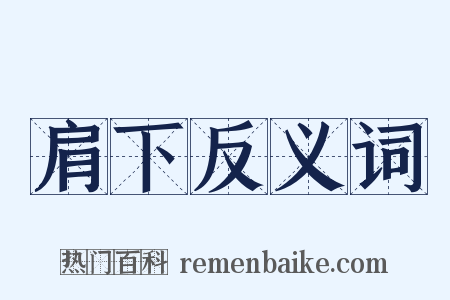 肩下反义词是什么意思的图片